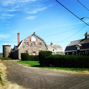 Some of the most beautiful horse farms I've ever seen. 